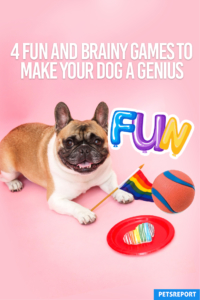 4 Fun and Brainy Games to