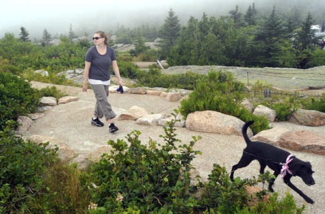 Acadia National Park