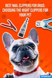 Best Nail Clippers for Dogs_Choosing the Right Clippers for You