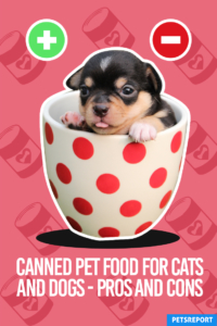 Canned Pet Food for Cats and Dogs - Pros and Cons