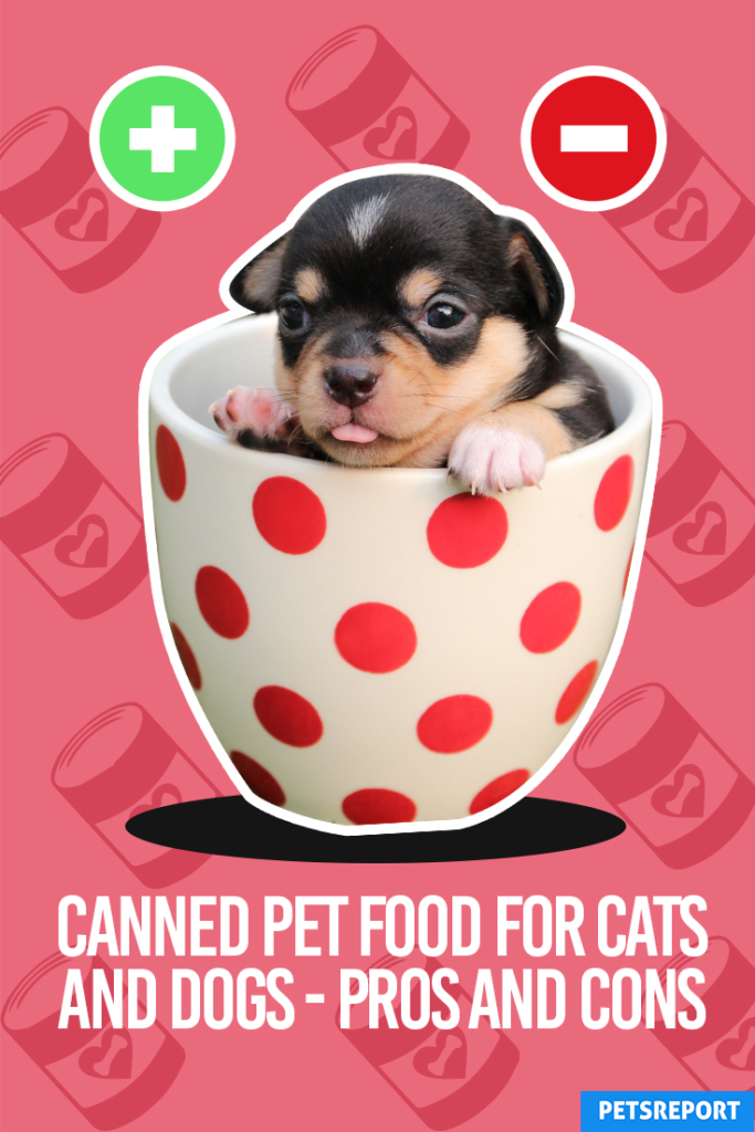 Canned Pet Food for Cats and Dogs - Pros and Cons