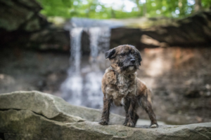 Cuyahoga National Park