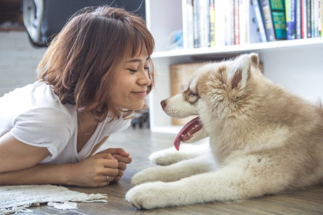 your dog's behavior can mirror your own