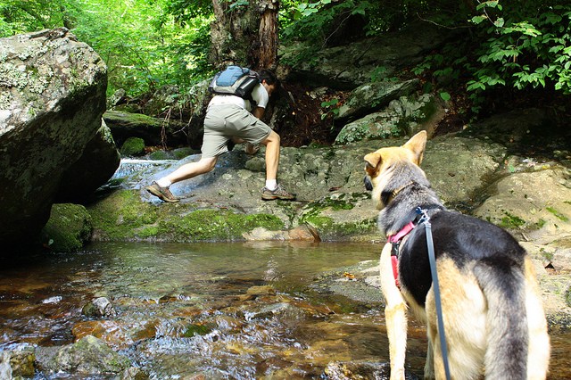 Shenandoah National Park