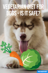 Vegetarian Diet for Dogs - Is It Safe