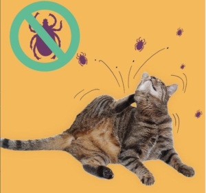 the best flea medicine is needed for infested animals
