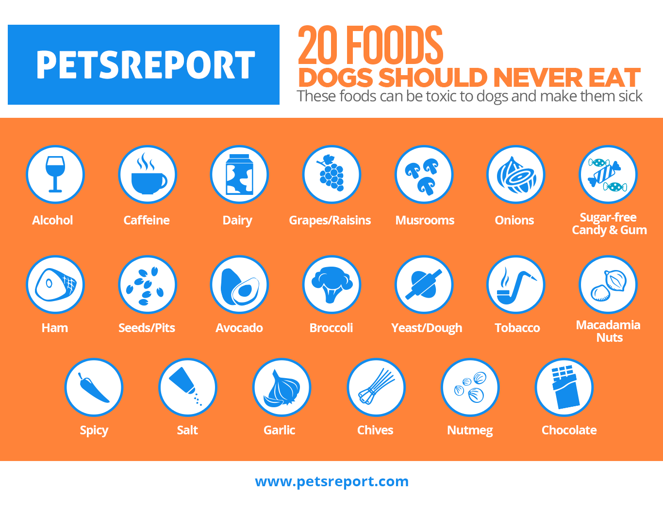 Human Foods Dogs Can Eat Chart