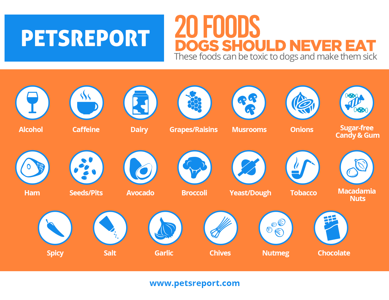 Human Foods That Dogs Can t Eat Pets Report