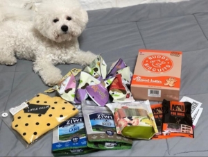 dog with high-quality dog food spread around on the floor