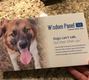 Dog DNA testing Wisdom Panel