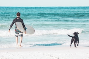 Bucket list with your pet - Go swimming and surfing with your dog - PetsReport