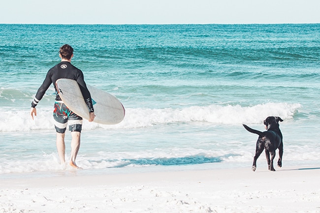Experience swimming or even surfing together as part of your bucket list with your pet.