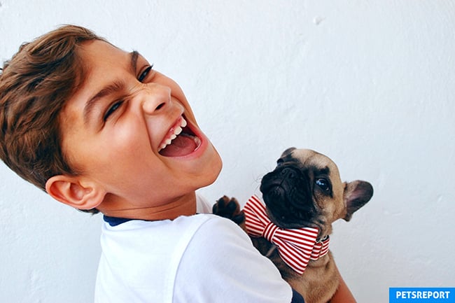 Pros and cons of owning a pet - Boy with dog