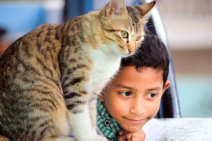 Cat adoption checklist - PetsReport